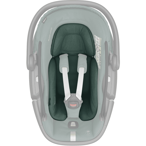 MAXI COSI Babyschale Coral 360 Essential Green Schlussverkauf