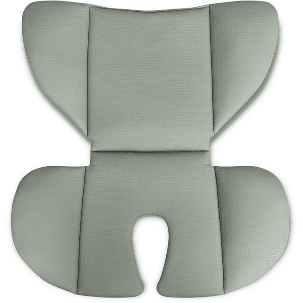 ABC DESIGN Kinderautositz Aspen 2 Fix i-size sage Letzte 2 Tage