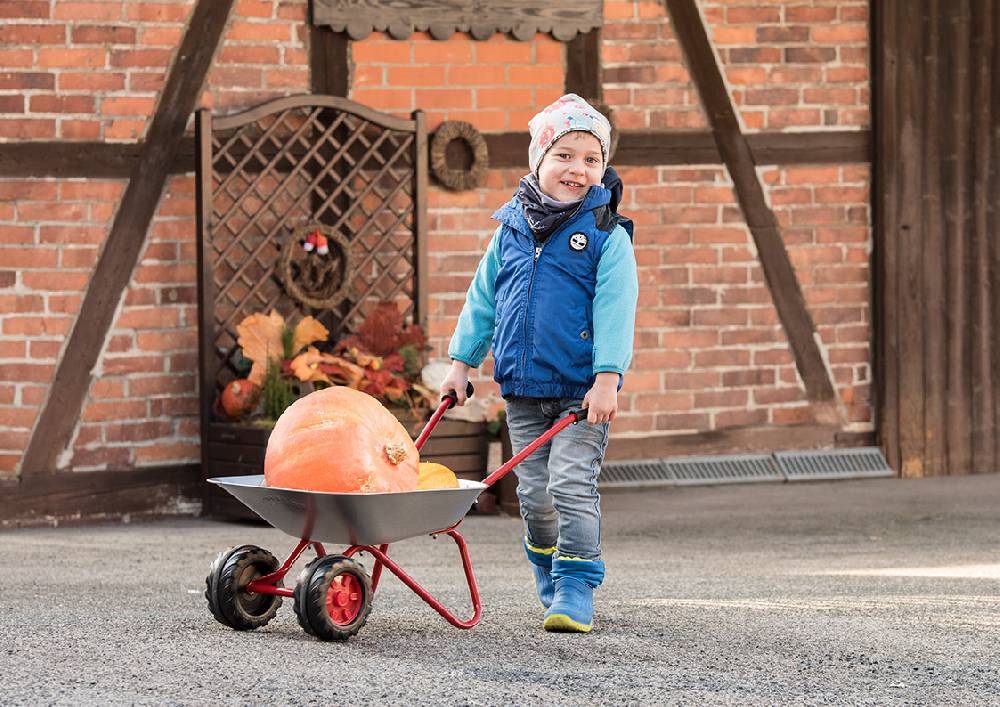 Rolly Toys rollyMetallschubkarre Exklusivangebot