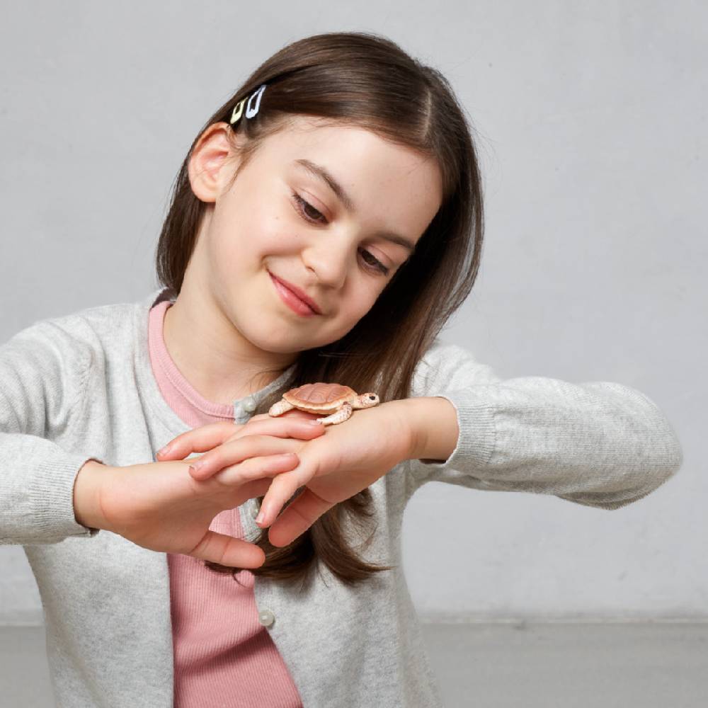 Schleich Echte Karettschildkröte (circular) Super Sparpreis
