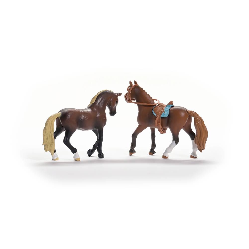 Schleich HORSE CLUB Paso Peruano Starter-Set Kostenloser Versand international