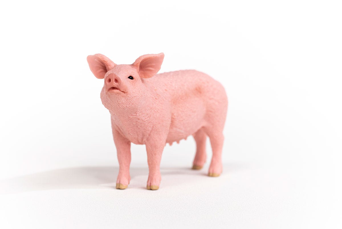 Schleich Schwein Exklusive Angebote
