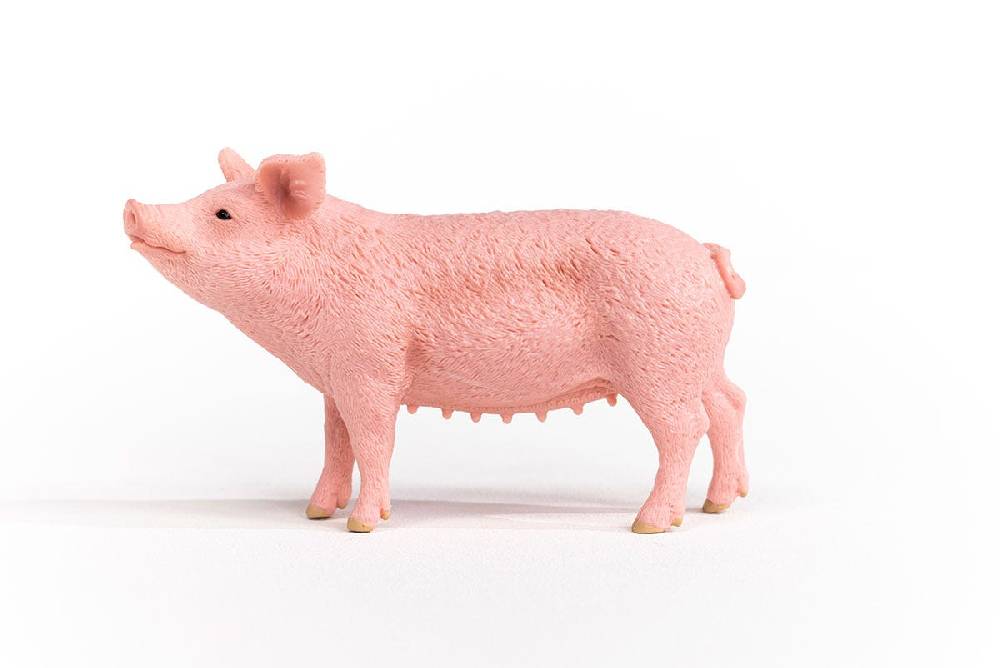 Schleich Schwein Exklusive Angebote