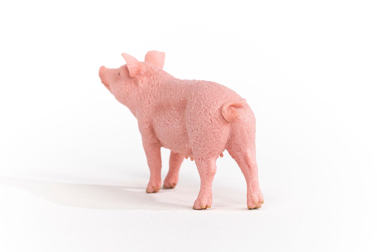 Schleich Schwein Exklusive Angebote