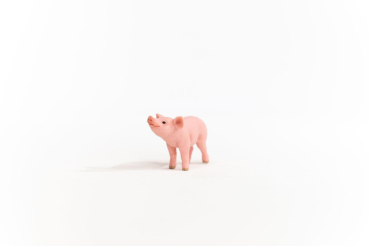 Schleich Ferkel Saisonale Angebote