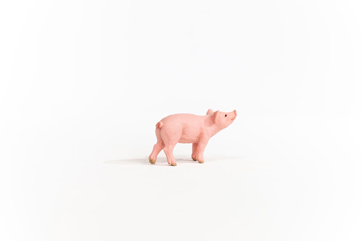 Schleich Ferkel Saisonale Angebote