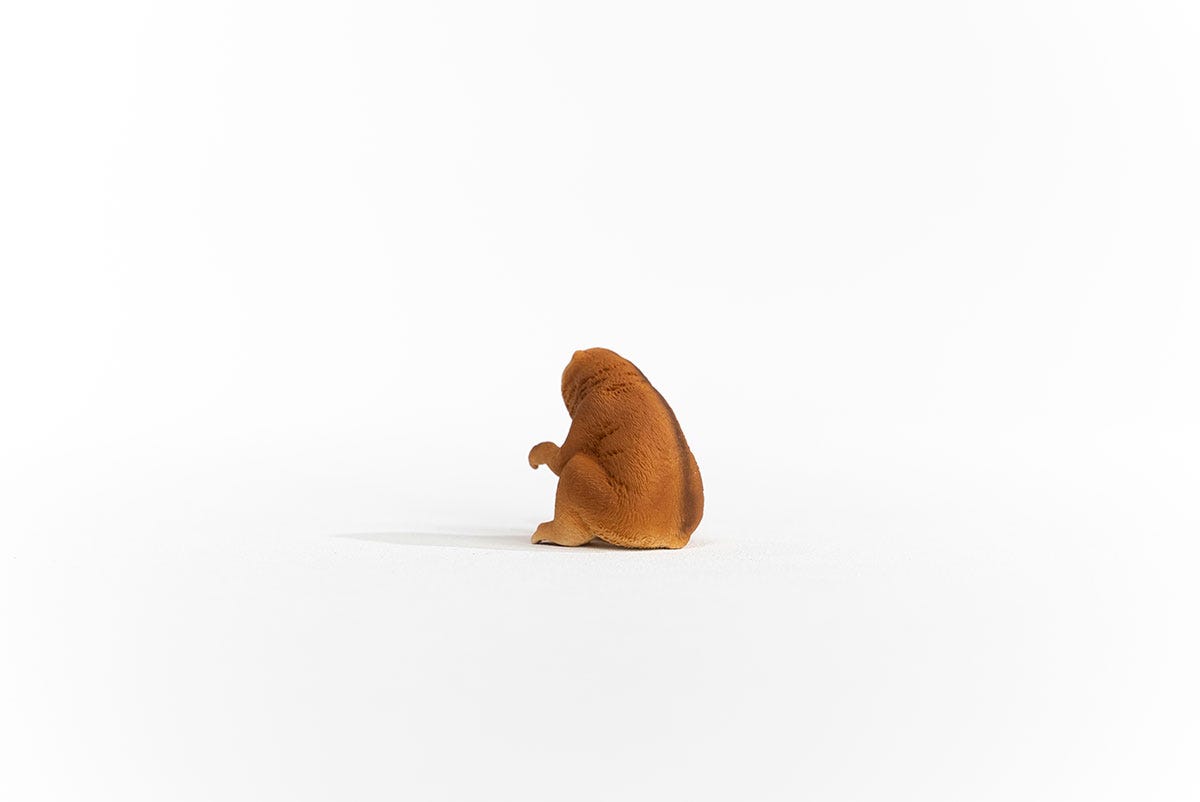 Schleich Plumplori Günstig kaufen