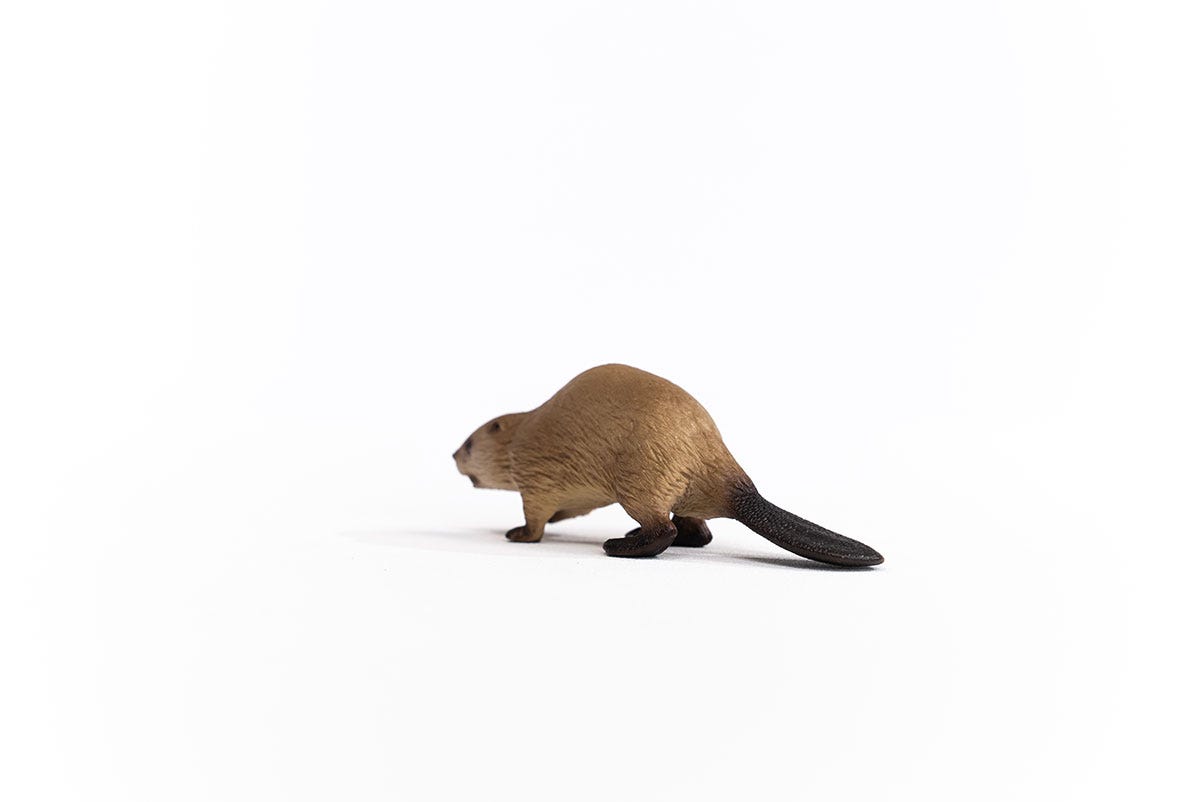 Schleich Biber Flash Sale