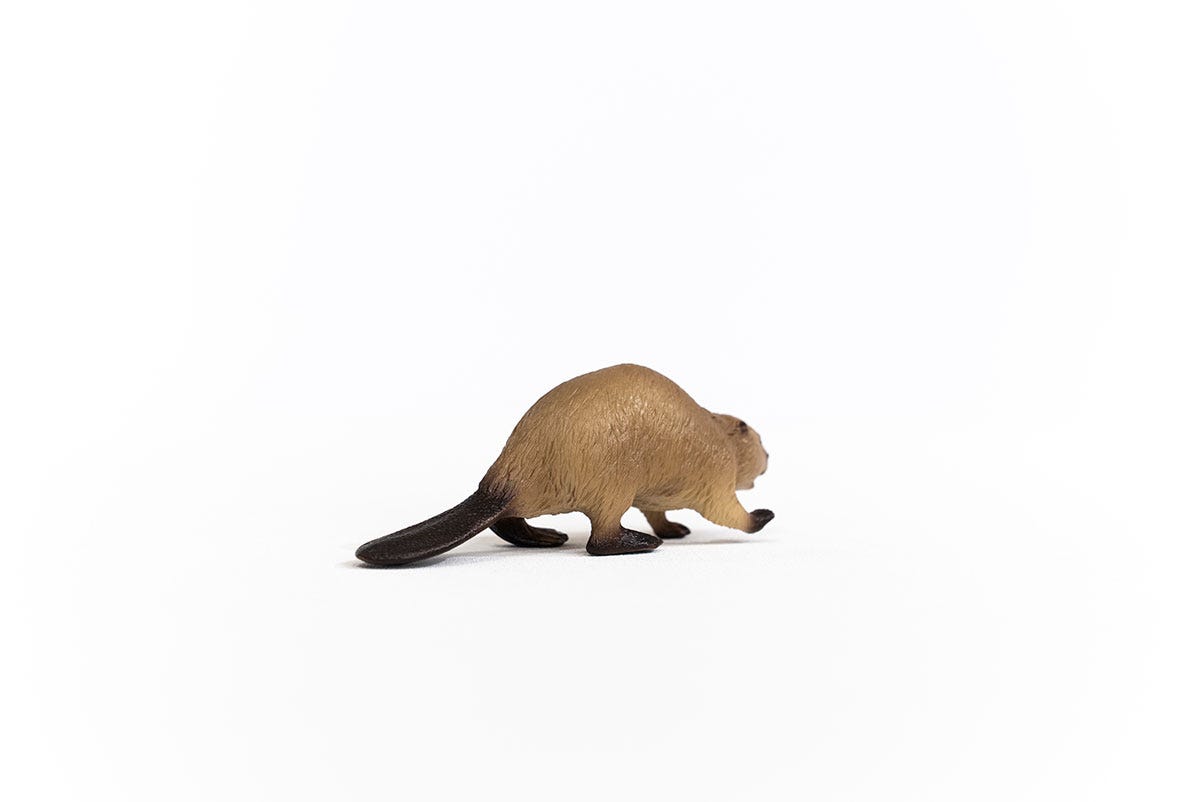 Schleich Biber Flash Sale