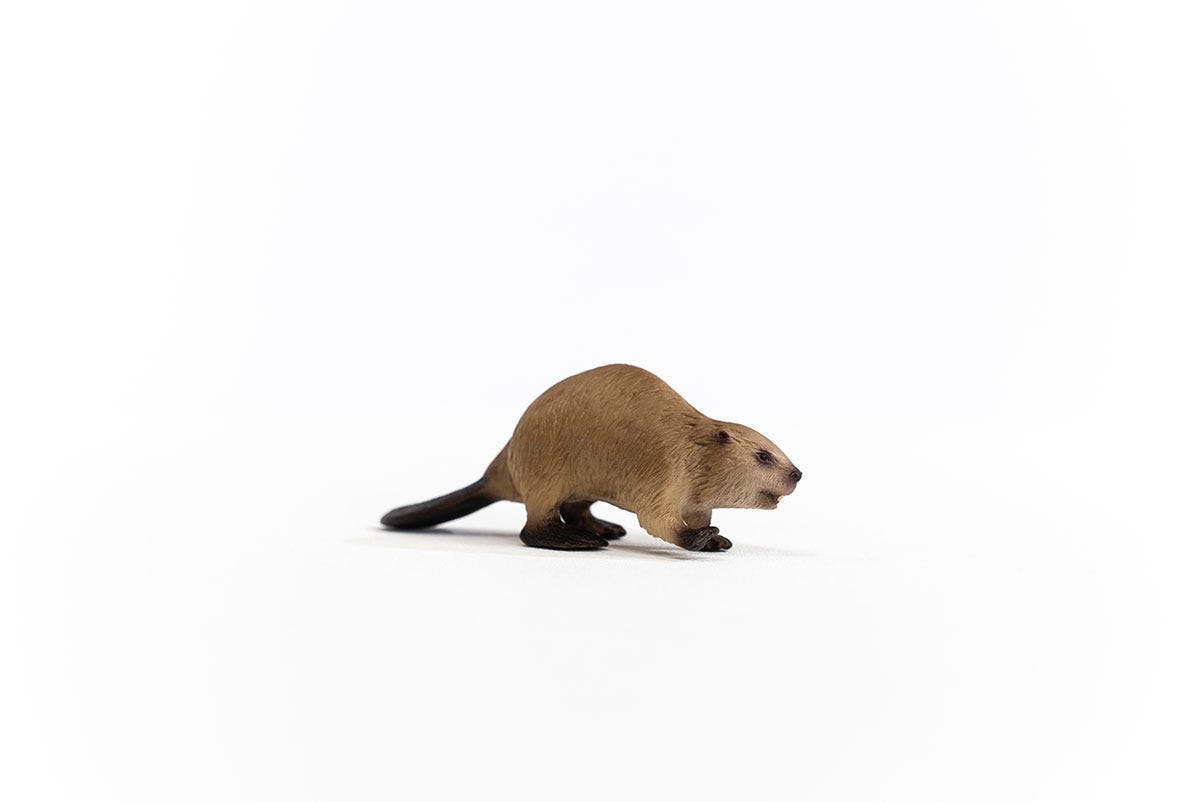 Schleich Biber Flash Sale
