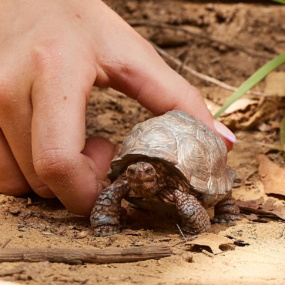 Schleich Riesenschildkröte Cyber Monday