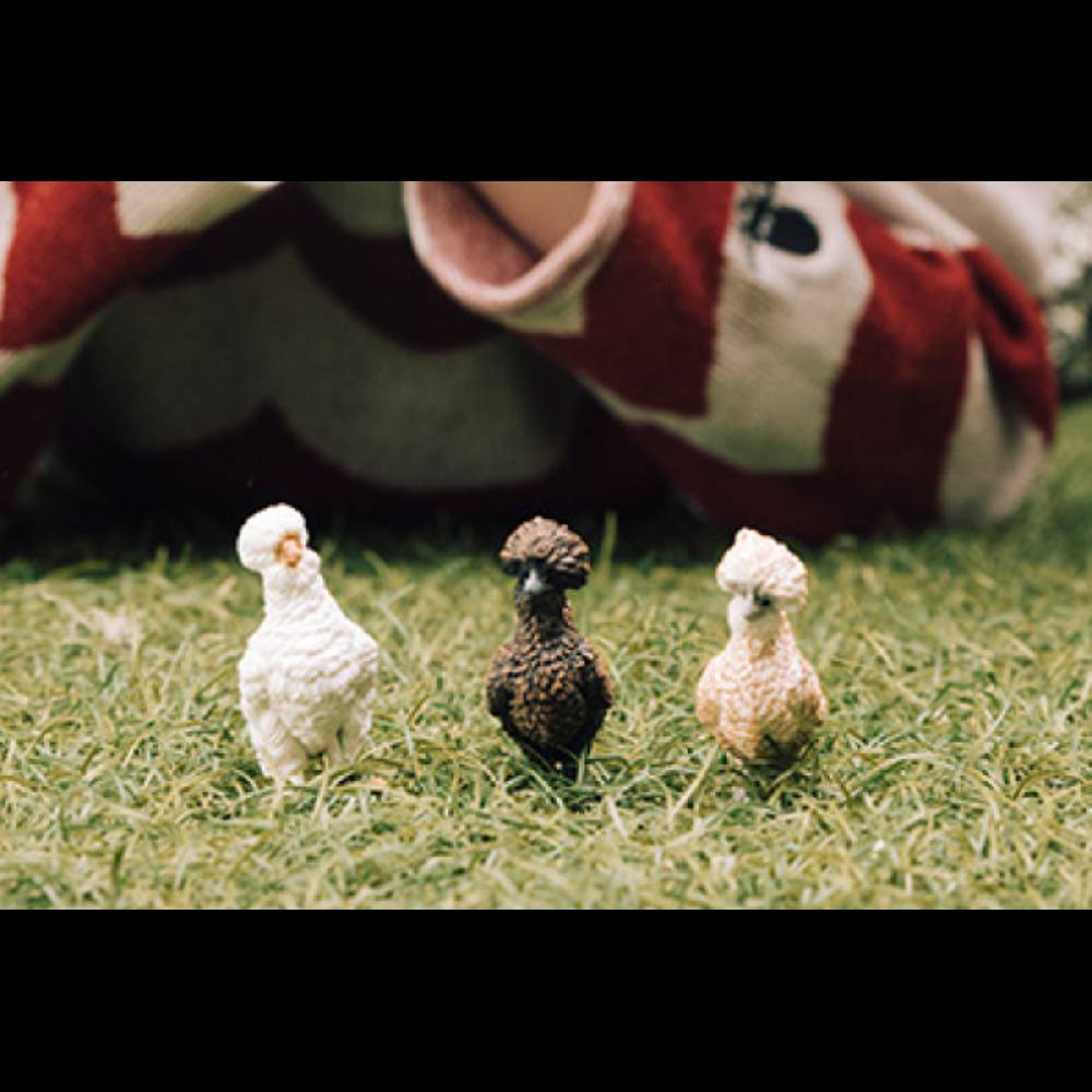 Schleich Hühnerfreunde Vatertagsangebot